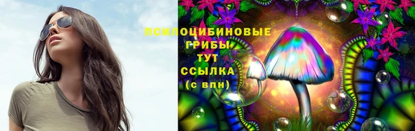 шишки Каменск-Шахтинский