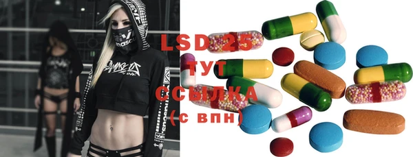 хмурый Каменка