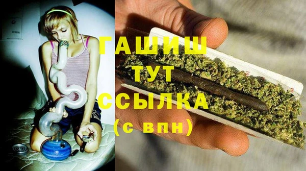 хмурый Каменка