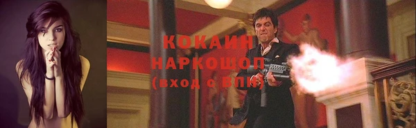 хмурый Каменка