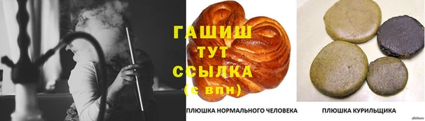 хмурый Каменка