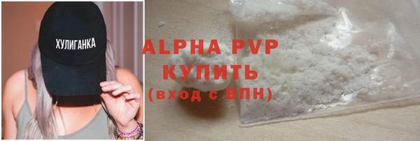 хмурый Каменка