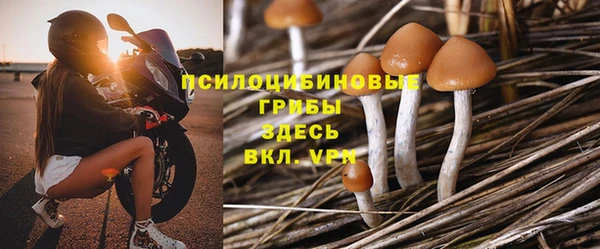 хмурый Каменка