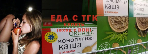 хмурый Каменка