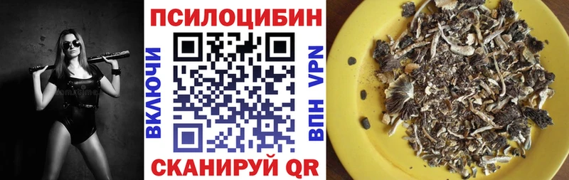 Купить закладки  Кинешма  Псилоцибиновые грибы прущие грибы 