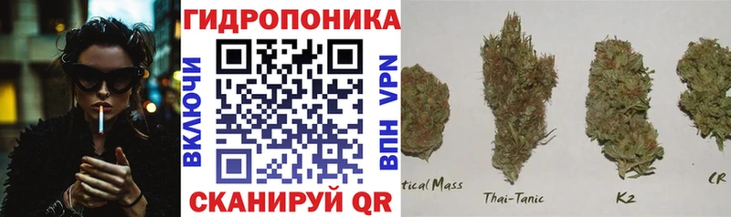 Марихуана план Кинешма